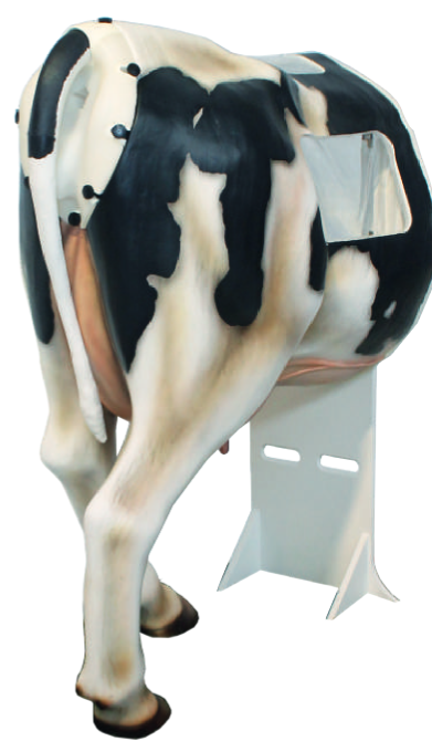 Тренажер-макет коровы Henryetta, модель Holstein